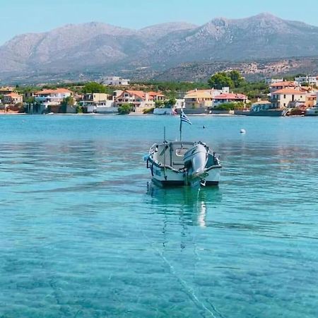 Κατοικία 80 Τ.Μ. Δίπλα Από Την Θάλασσα Στην Ελιά. Elia  Esterno foto